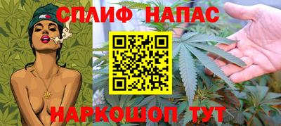 СК Славгород