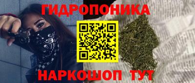 СК Славгород