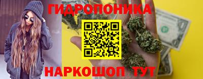 молекула духа Ставрополь
