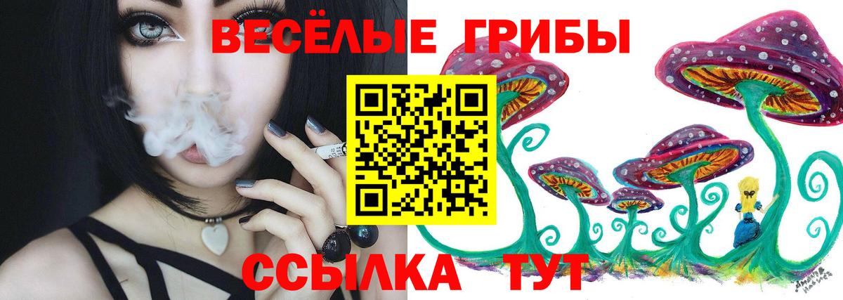 Псилоцибиновые грибы MAGIC MUSHROOMS Сертолово